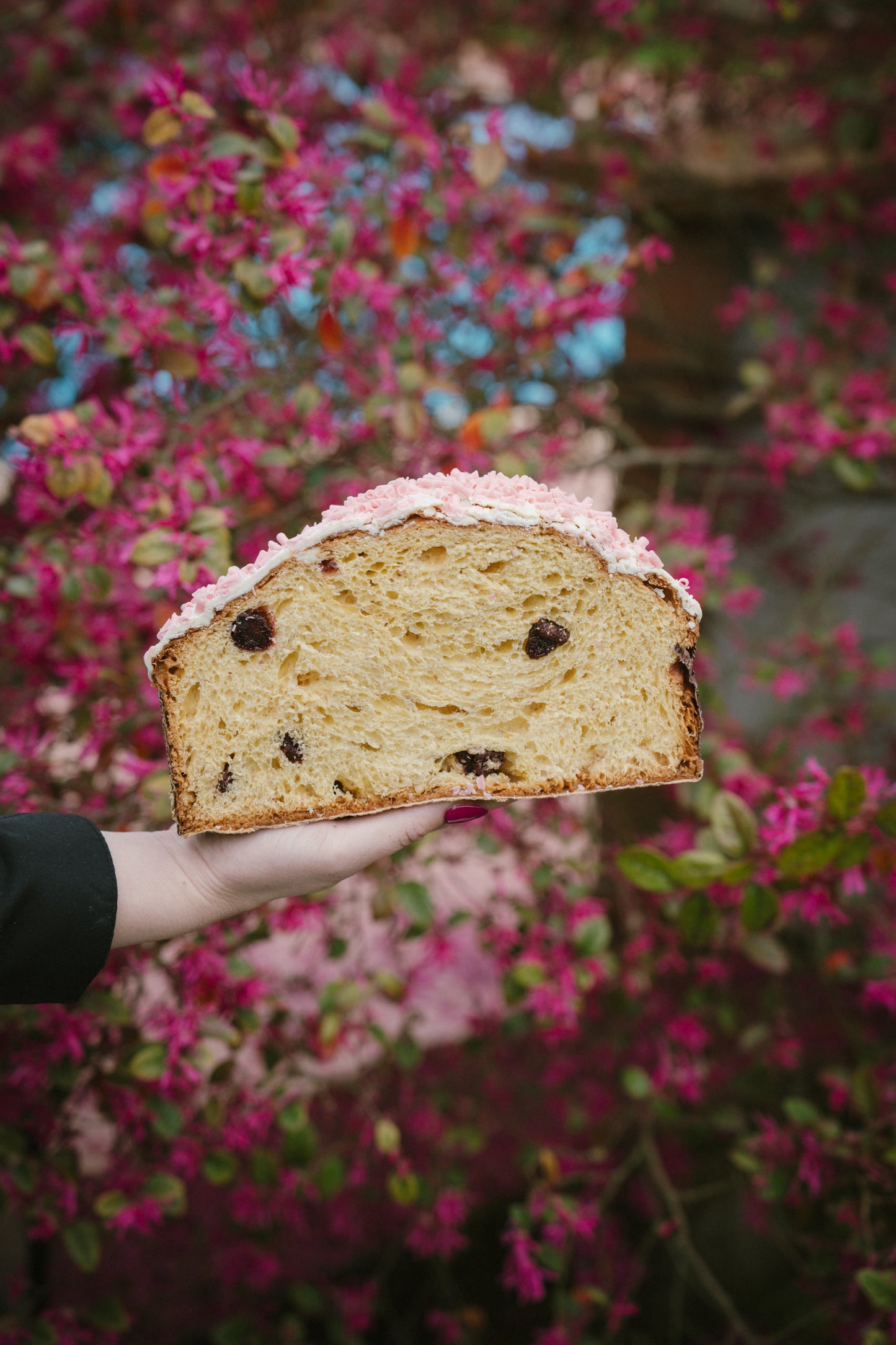 Colomba Fragola e Cioccolato Bianco