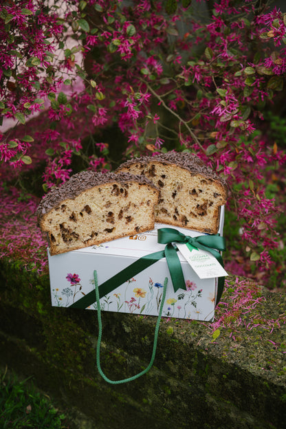 Colomba Cioccolato