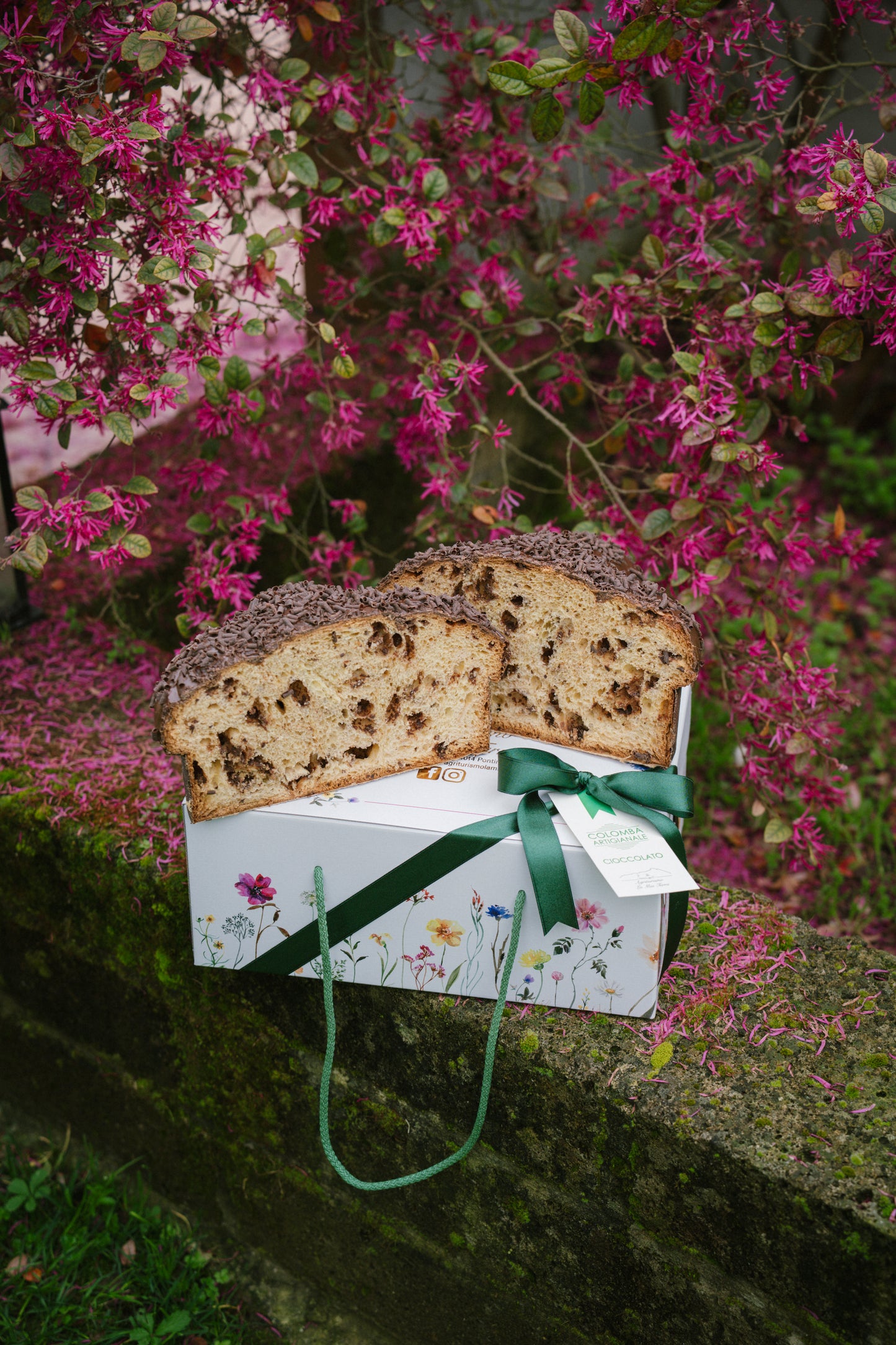 Colomba Cioccolato