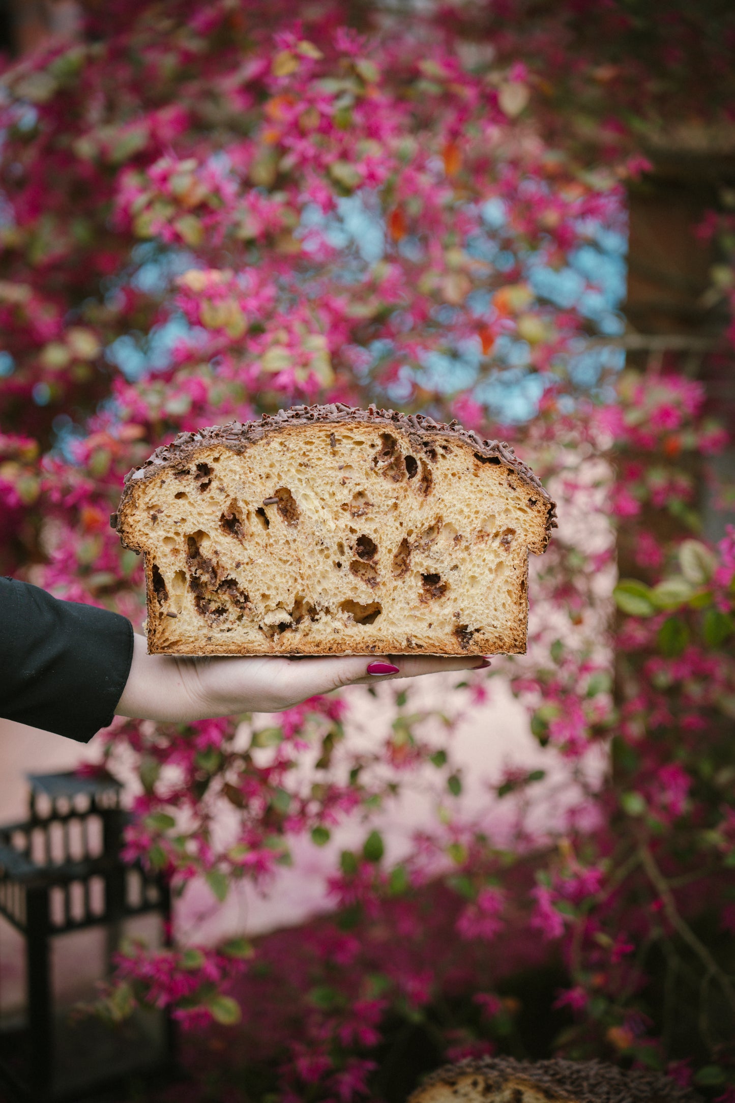Colomba Cioccolato
