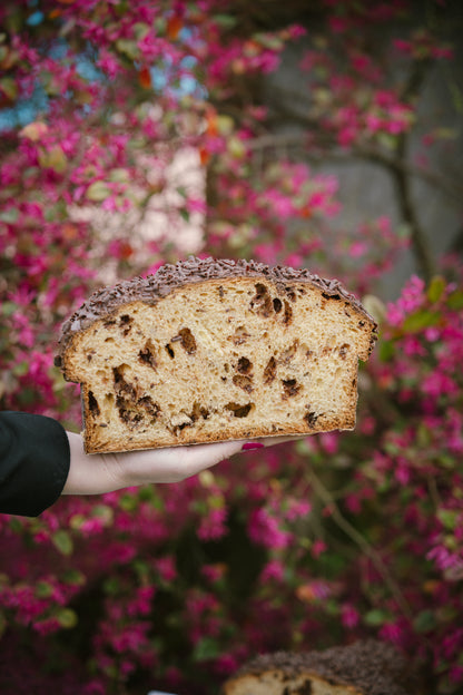 Colomba Cioccolato
