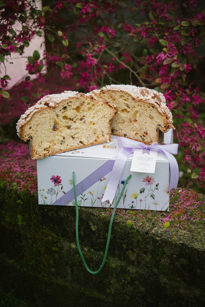 Colomba Agrumi e Uvetta