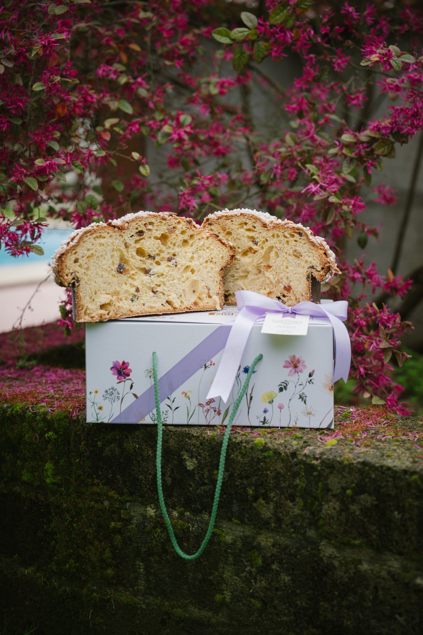 Colomba Agrumi e Uvetta