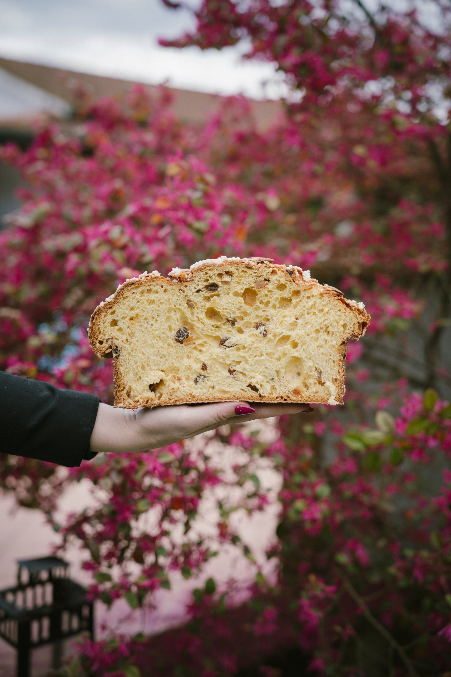 Colomba Agrumi e Uvetta