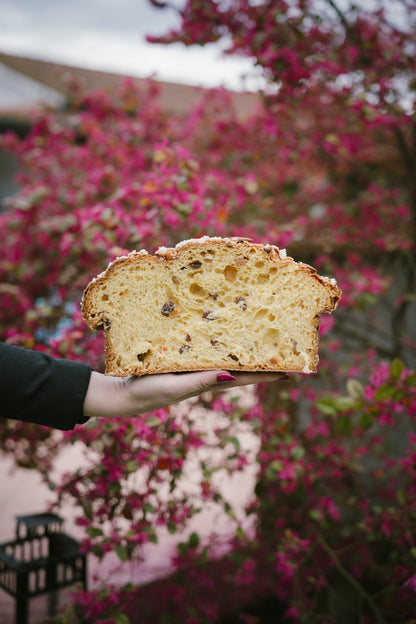 Colomba Agrumi e Uvetta